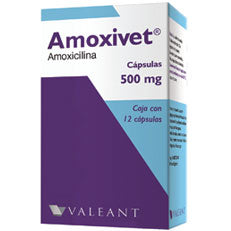 AMOXIVET CAPSULAS 500 mg CAJA CON 12