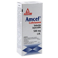 AMCEF IM SOLUCION INYECTABLE 500 mg